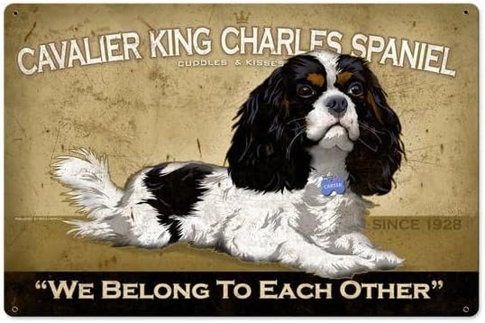 Home Bar And Coffee - Retro-Metallblechschild „Cavalier King Charles Spaniel“ für