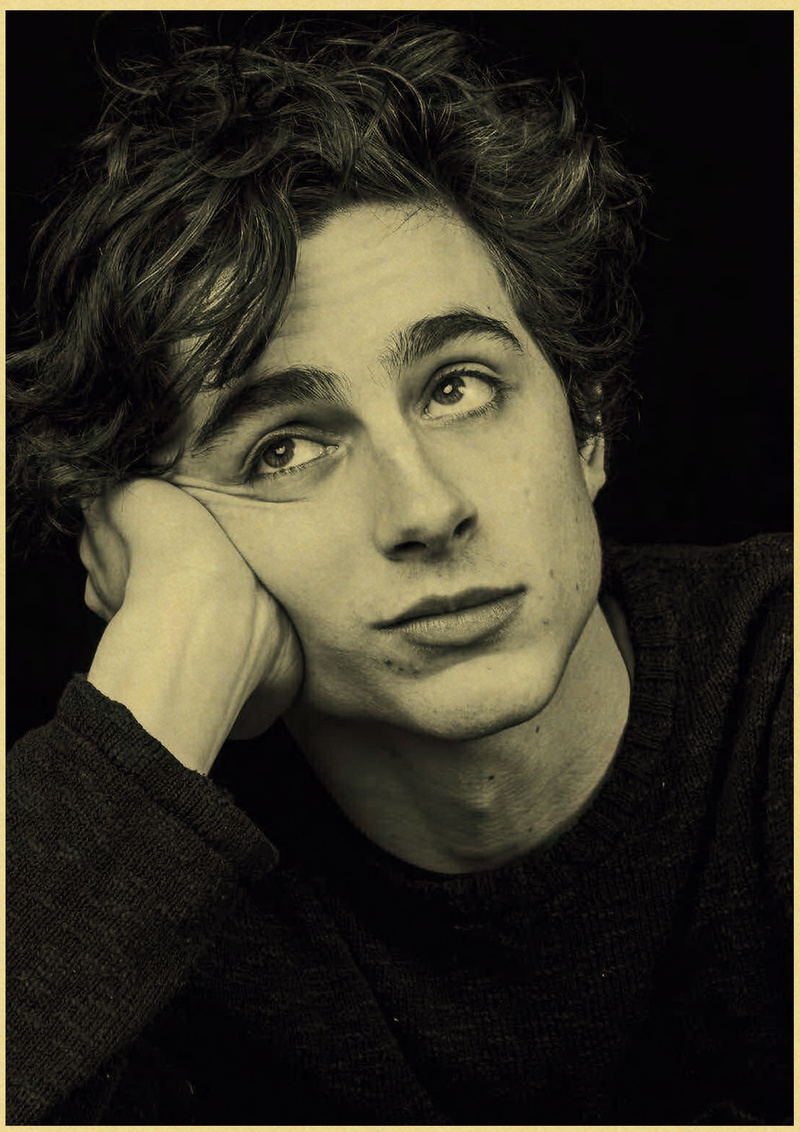 Timothee Chalamet Retro Leinwa – Home Bar And Theater Bewertung und Preis